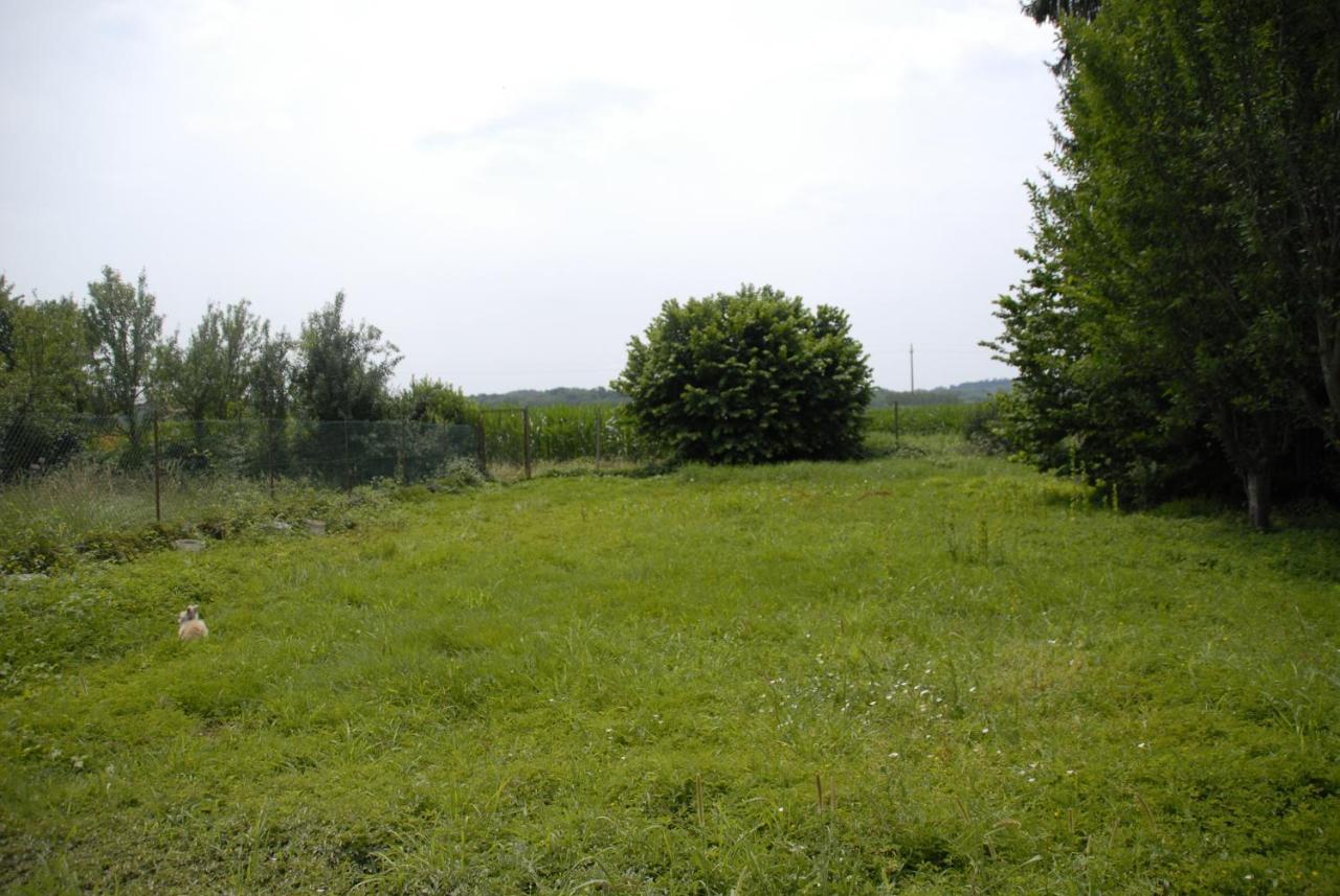 Spighe Paglia E Girasole Bed & Breakfast Candia Canavese Dış mekan fotoğraf